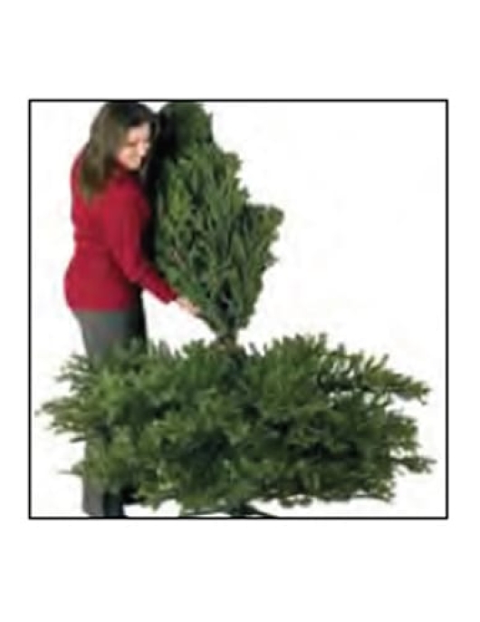 Christmas Tree open