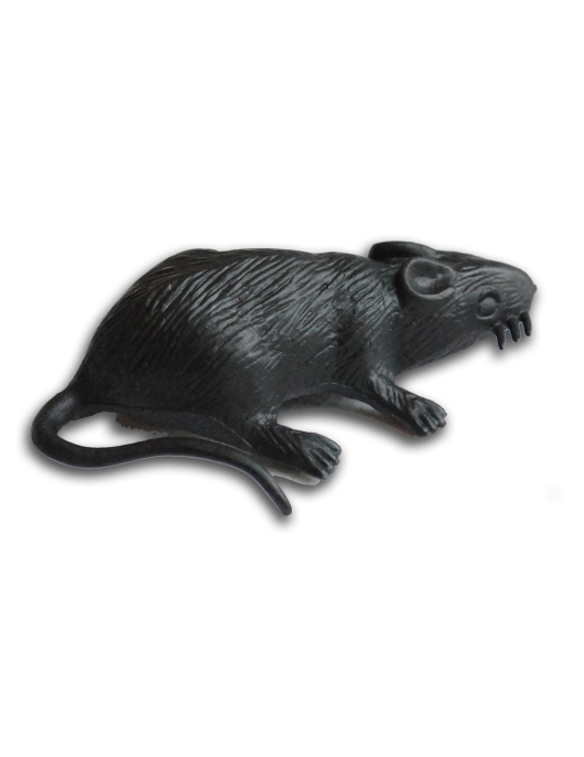 Halloween Black Rat - 10 pcs