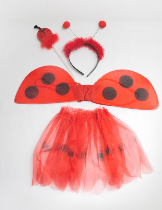 Kit Mariqita Infantil (Lady Bug Wings Kids)