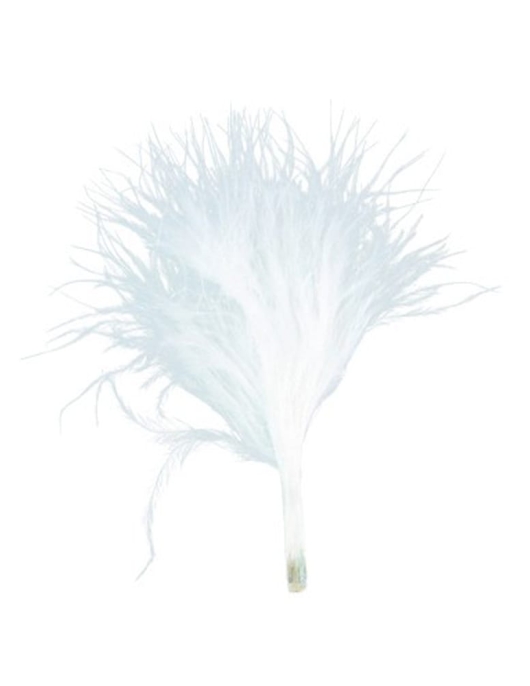 Trendy Feather (For Decoration ) White