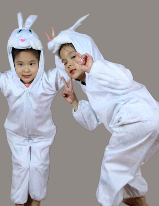 Rabbit Toddler Costume 