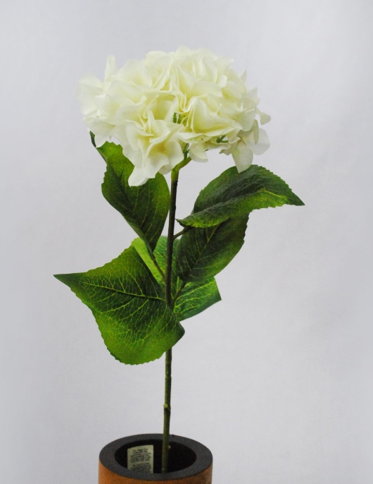 White Long Stick Flower