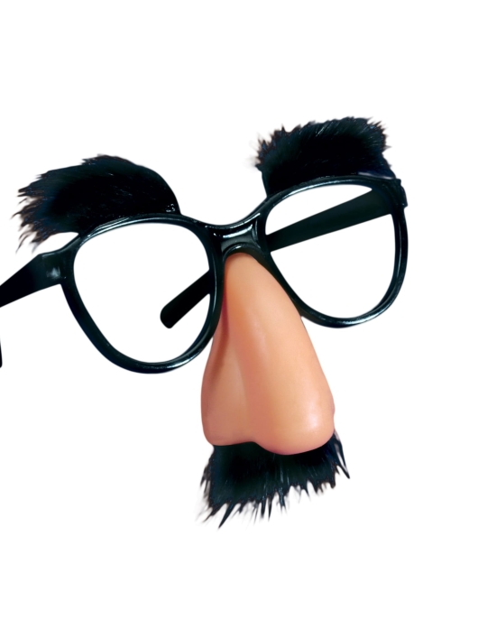 Pack of 1 - Funny Nose & Glasses