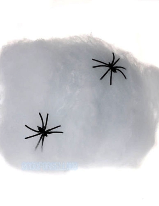 Glow In The Dark Spider Web 60gm