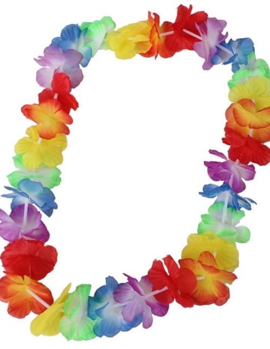 Collar Hawaiano - Multi Color - Flower Necklace