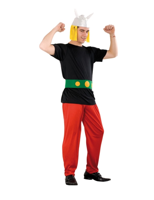 Asterix Costume Adult Free Size