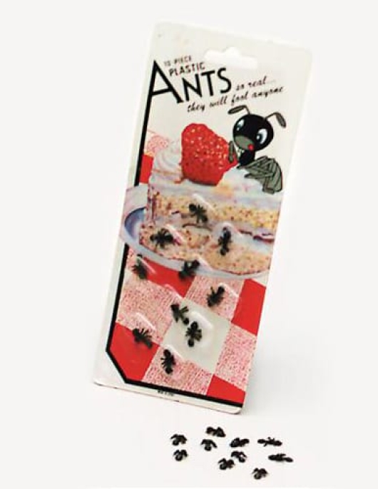 Plastic Ants 10pcs
