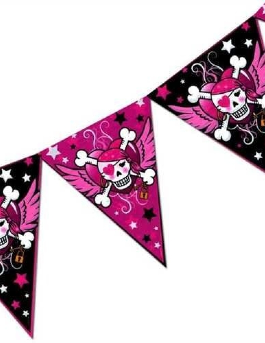 Pirate Girl Pink Skull Wings Plastic Flag Banner 10meters