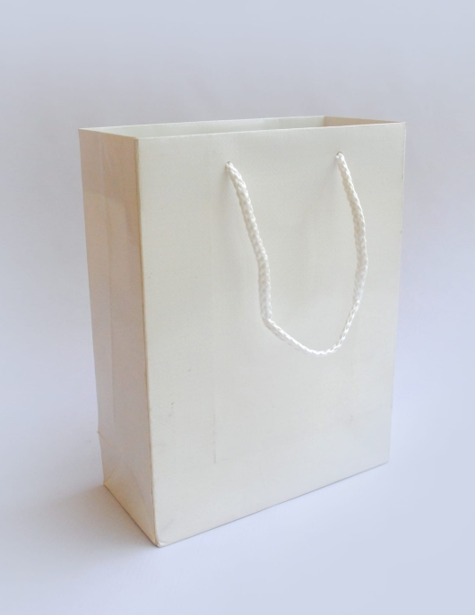 White Glossy Gift Paper Bags 18 x 23 x 8cms 