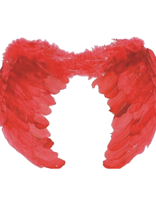 Furr Wings 60 X 45 Cm Red