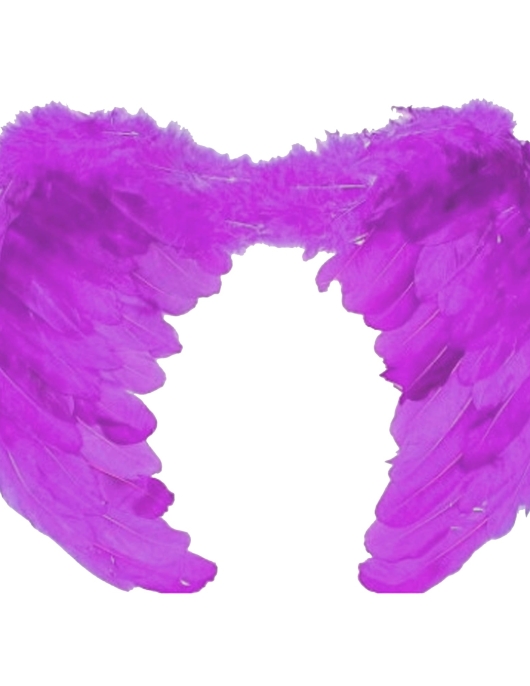 Furr Wings 60 X 45 Cm Purple