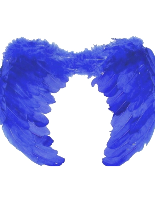 Furr Wings 38 X 42 Cm Blue