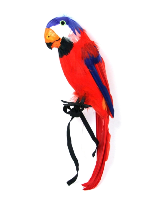Pack of 1 - Toy Parrot