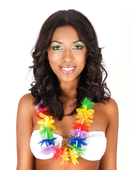 Collar Hawai Sencillo# (Multi Color Flower Neck Lace)