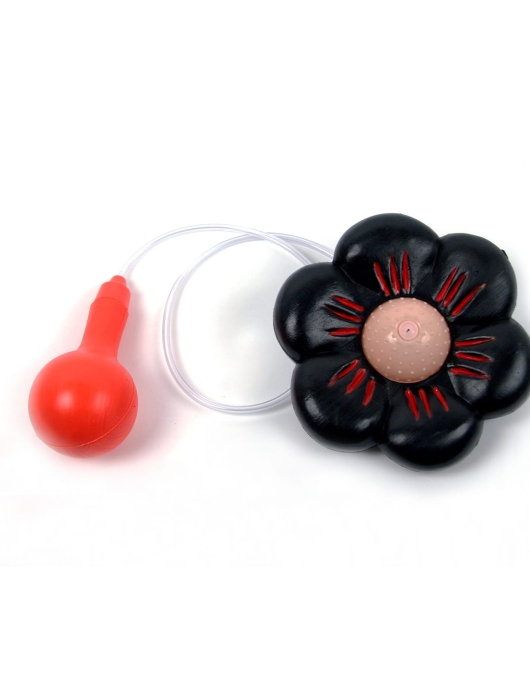 Pack of 1 - Squirt Flower 