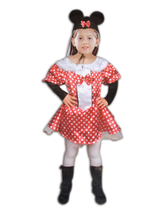 Minnie Mouse Girl Kids Costume
