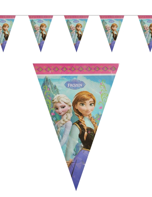 Flag / Banner Frozen