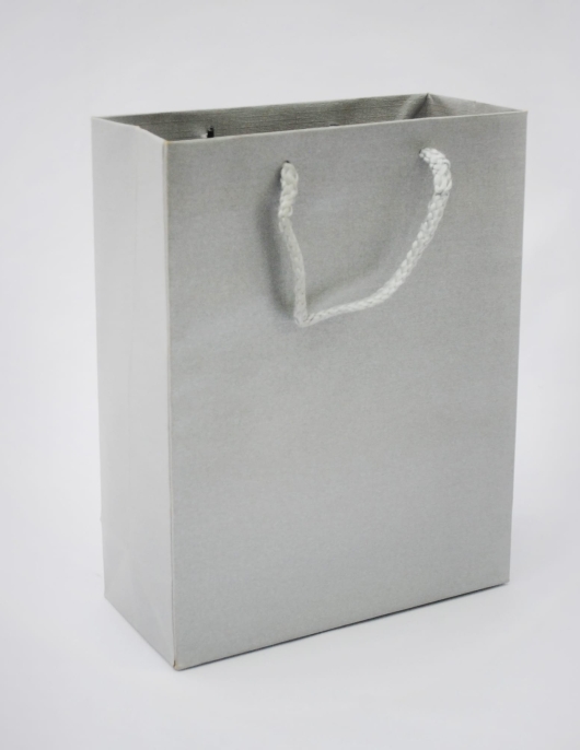 Gift Paper Bag (Texture Silver)