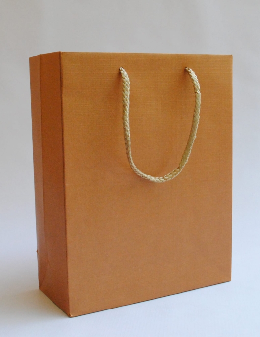  Brown Texture Gift Paper Bags 18 x 23 x 8cms