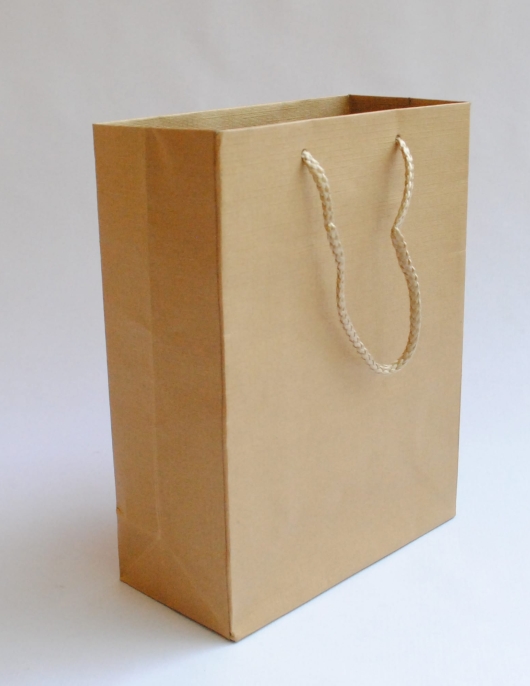 Golden Texture Gift Paper Bags 18 x 23 x 8cms
