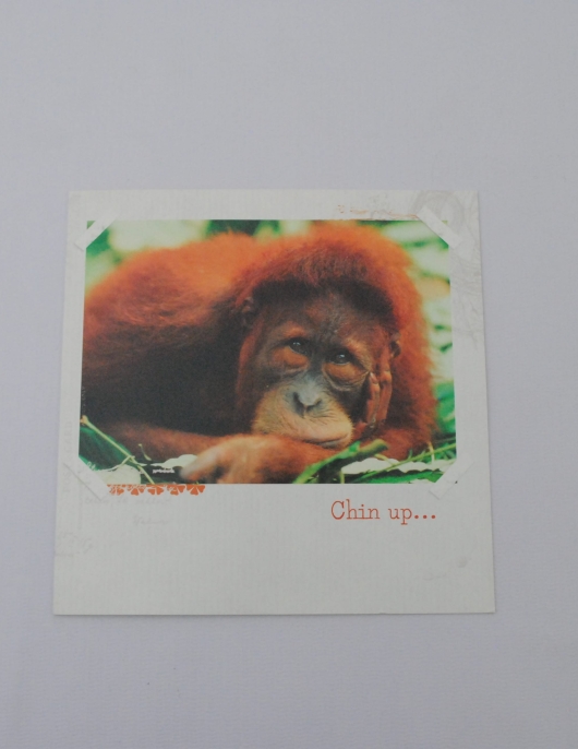 Birthday Card With Monkey Printed