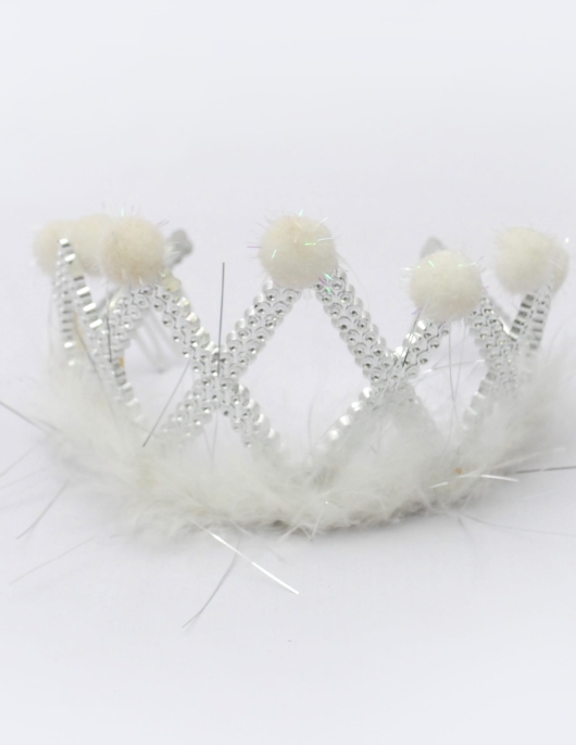 Happy Birthday Plastic Crown 