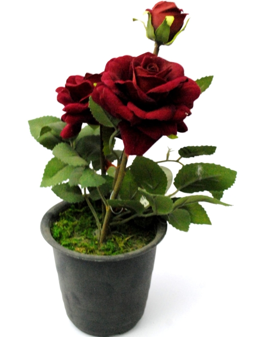 Decoration Flower Pot (Assorted Flower and Assorted Colors)