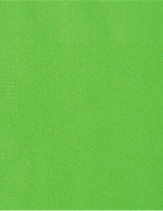 Green Lime Paper Napkins 33 x 33 cm